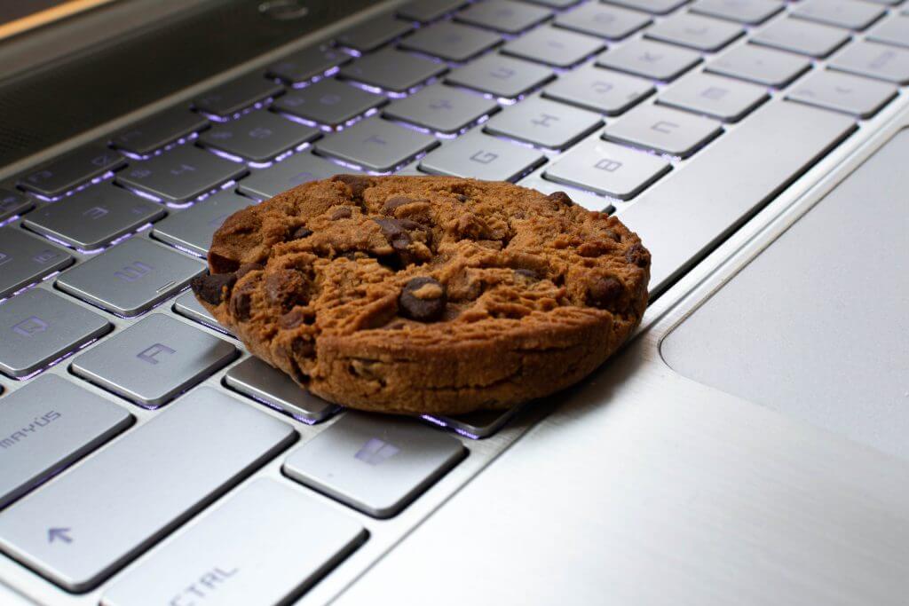 Navigating Digital Marketing in the Post-Cookie World | Digfinity